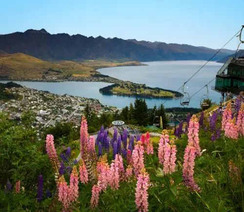 6 Day New Zealand South Island Itinerary