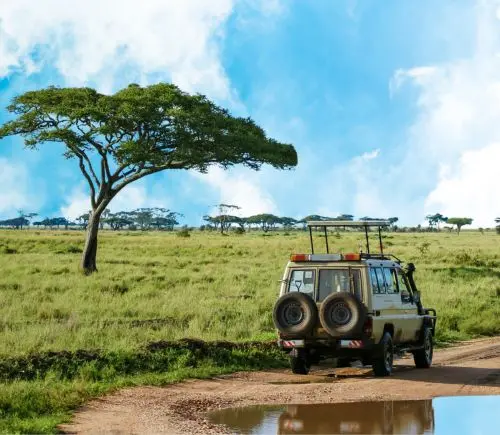 Luxurious Four Seasons Serengeti Package