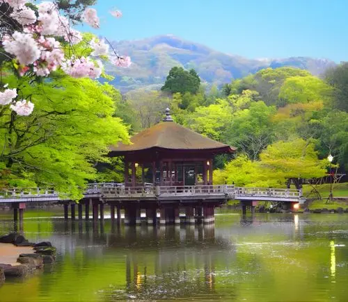 Japan Tour Package from Delhi