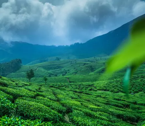 Kerala Tour Packages for Family