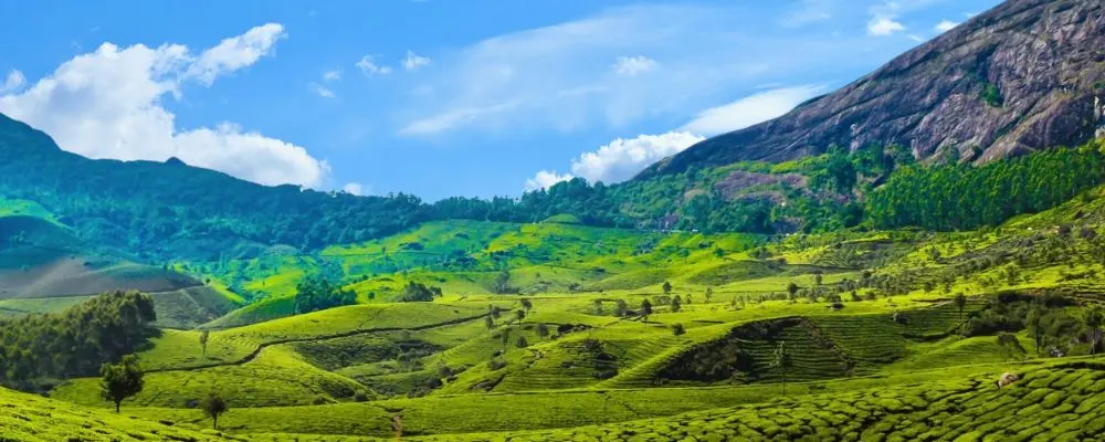 Kerala Munnar