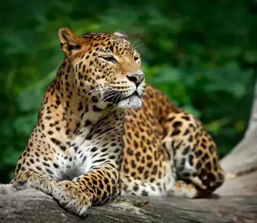 Adventure in Srilanka