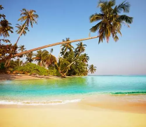 Andaman Escape