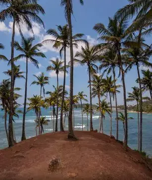 Srilanka Tour Packages